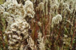 解说员的“神预言”成真!网友:这耳朵比眼睛还好使! 解说员的“神预言”成真!网友:这耳朵比眼睛还好使!